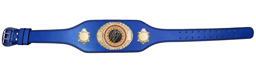 WRESTLING CHAMPIONSHIP BELT-BUD295/G/WRESTGEMG-4 COLOURS